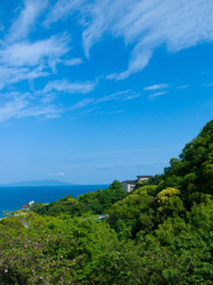 Cnu